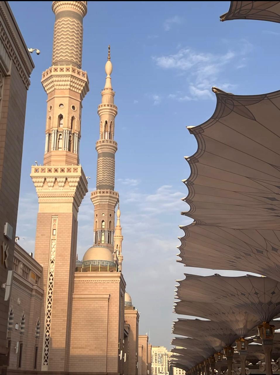 يسرية الطيب احمد الطيب